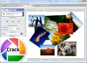 Picasa Crack Free Download + Full Crack